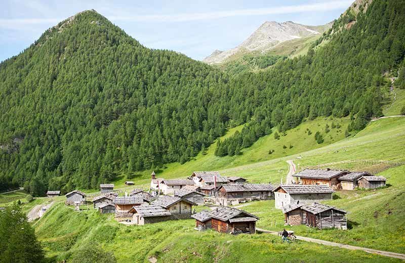 Baita Alpina Malga Fane Alto Adige