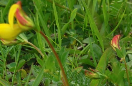 Impressioni della Residenza Tauber a Vals