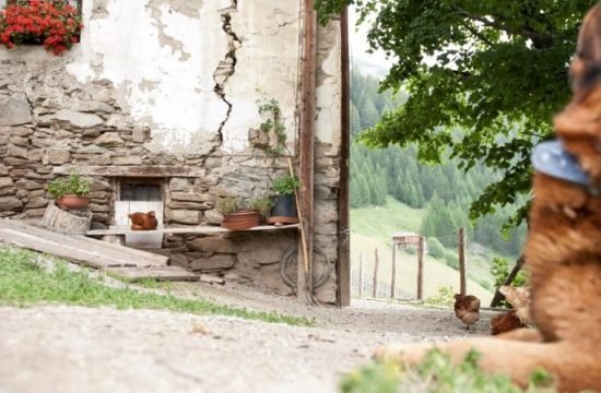 Impressionen von der Residence Tauber in Vals