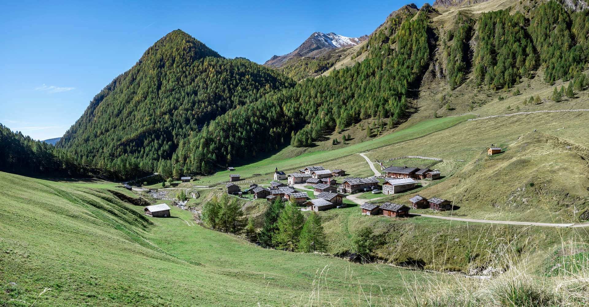 Urlaub auf der Alm - Fanehütte