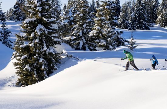 Sci e gioia invernale